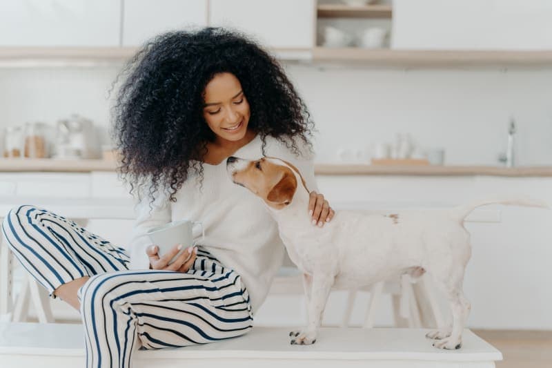 6 Things You Can Do To Keep Your Dog Healthy 6 Things You Can Do To Keep Your Dog Healthy