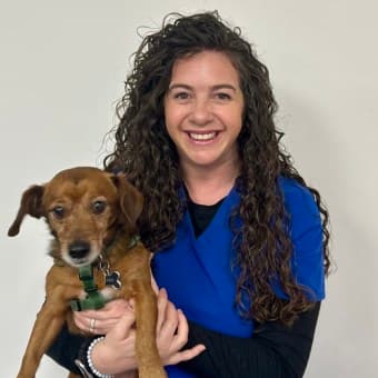 Dr. Lisa Brody Dr. Lisa Brody