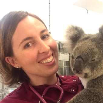 Hayley ValentyneDVM Hayley ValentyneDVM