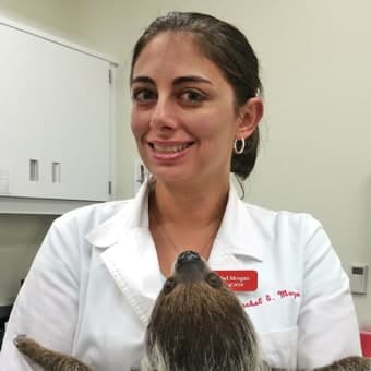 Dr. Rachel Morgan Dr. Rachel Morgan