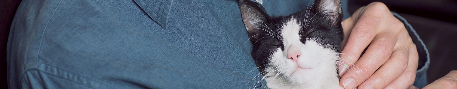 La Pine Animal Hospital Generic Section La Pine Animal Hospital Generic Section