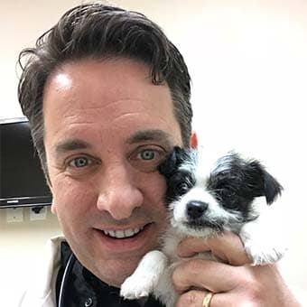 Dr. David Mullins Dr. David Mullins