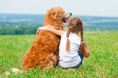 Fun Dog Facts for Kids Fun Dog Facts for Kids