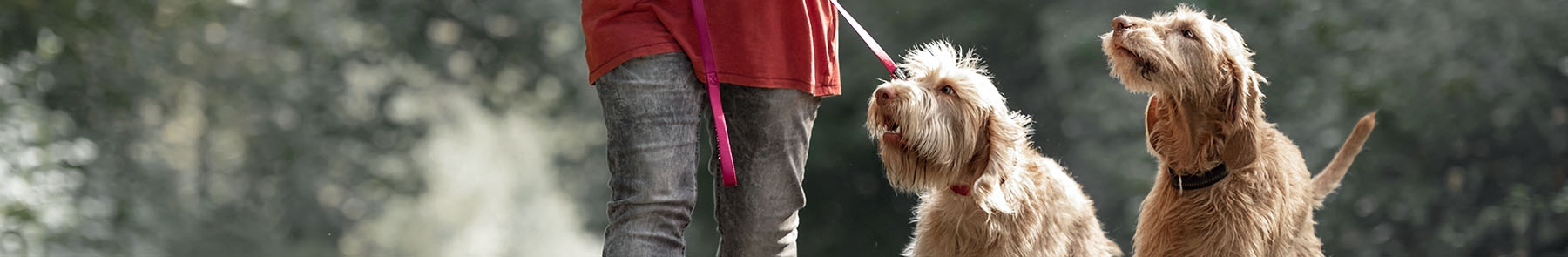 Madison Park Veterinary Hospital Madison Park Veterinary Hospital