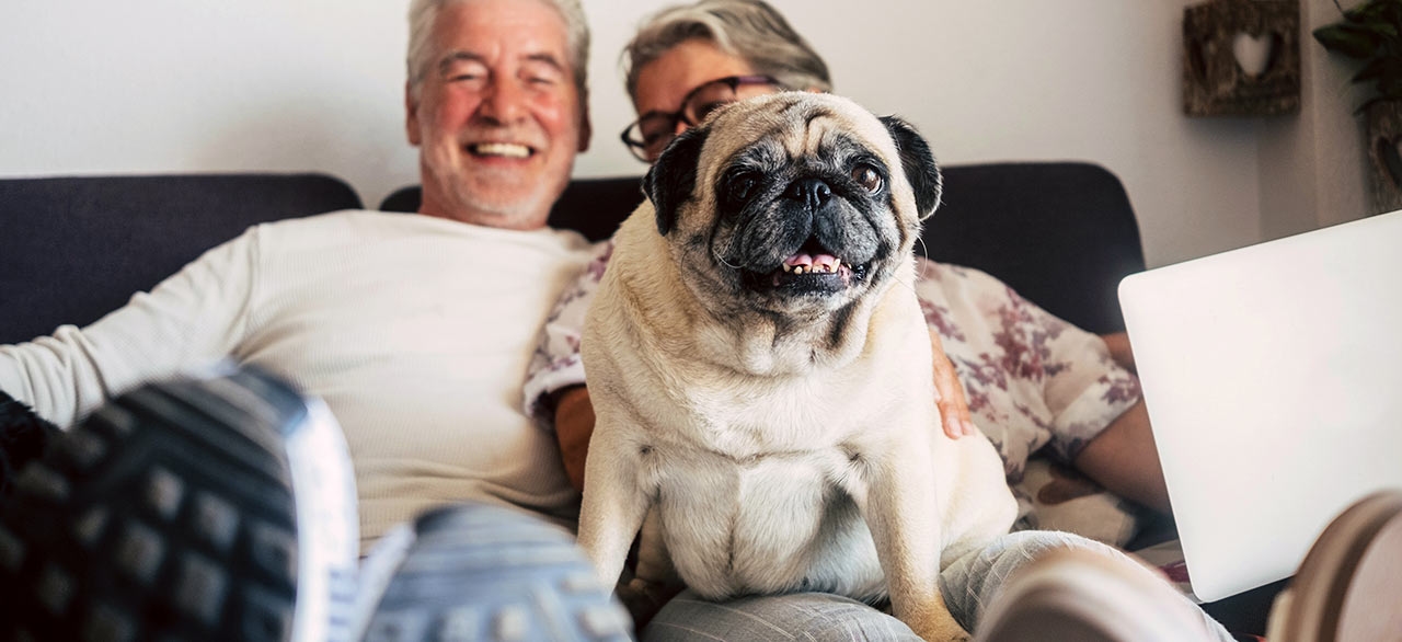 Scottsdale Ranch Animal Hospital Scottsdale Ranch Animal Hospital