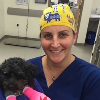 Dr. Lindsay Tognetti Dr. Lindsay Tognetti