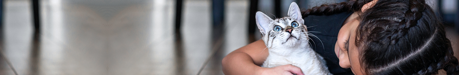 Island Pet Hospital Island Pet Hospital