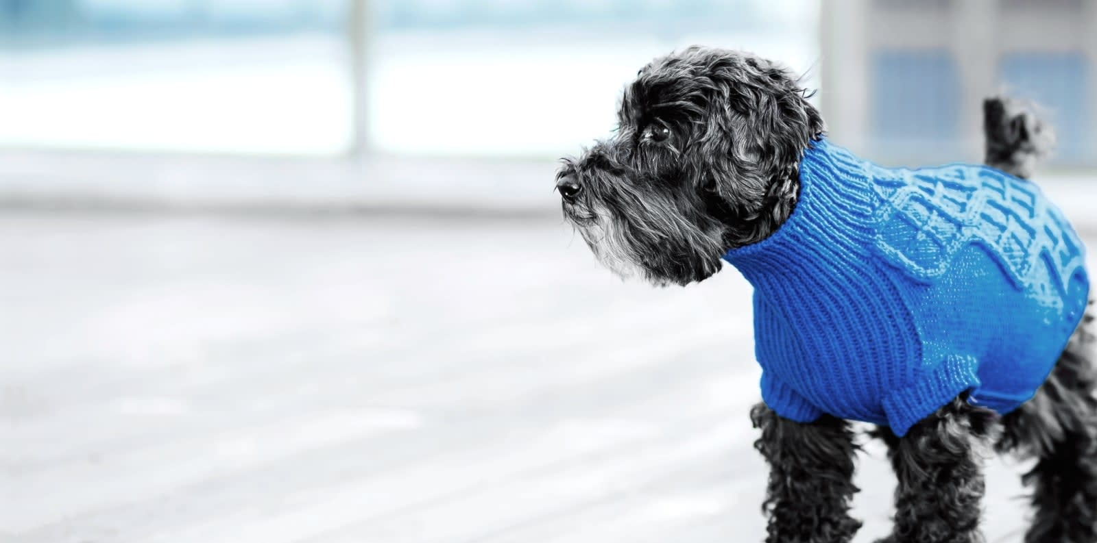 New Hope Animal Hospital Hero Image New Hope Animal Hospital Hero Image