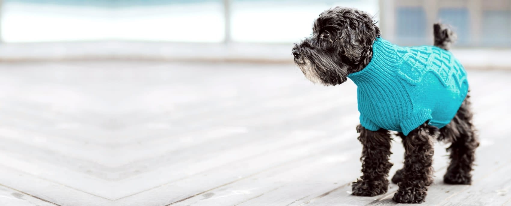 Animal Medical Center of Cumming Hero Image Animal Medical Center of Cumming Hero Image